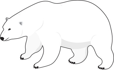 white bear vector element