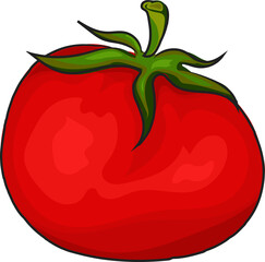 it is drawing tomato vegetable, foods