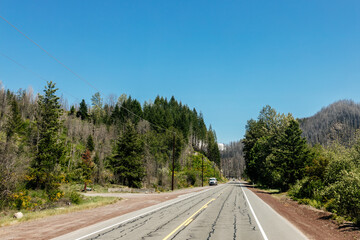 Fototapeta premium Beautiful road in the mountains among trees and flowers. Beautiful summer landscape with an asphalt highway, mountains, trees. Nature in Oregon in spring.