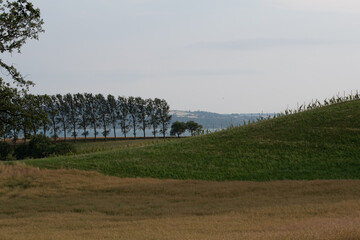 Paysage d'&eacute;t&eacute;
