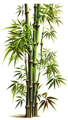 Bamboo on transparent background or PNG file, easy to decorate your project. generative AI