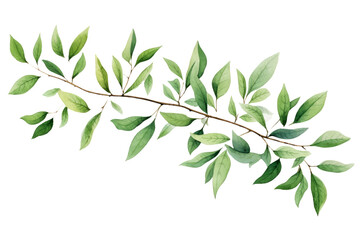 Fototapeta premium Watercolor of Tropical spring floral green leaves and flowers elements isolated on transparent png background, bouquets greeting or wedding card decoration, with Generative Ai.