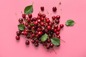 Heap of sweet cherries and leaves on pink background