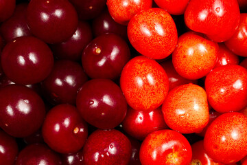 Light and dark cherries. Different varieties of cherries close-up. Ripe natural organic cherries.