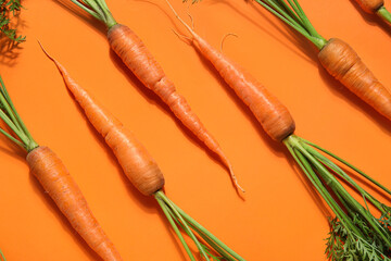 Fresh carrots with leaves on orange background