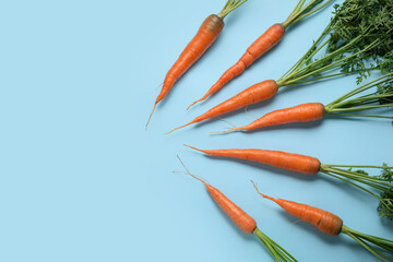 Fresh carrots with leaves on blue background