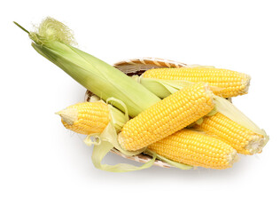 Wicker bowl with fresh corn cobs on white background