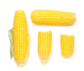 Fresh corn cobs on white background