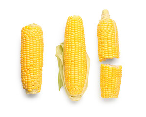 Fresh corn cobs on white background