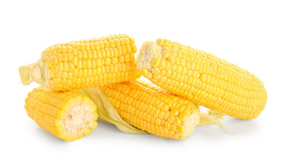 Fresh corn cobs on white background
