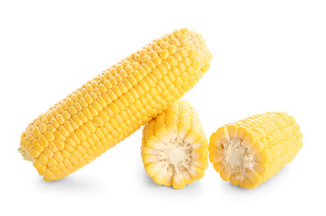 Fresh corn cobs on white background