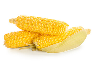 Fresh corn cobs on white background