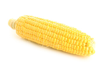 Fresh corn cob on white background