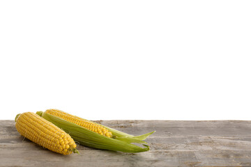 Fresh corn cobs on grey wooden table against white background