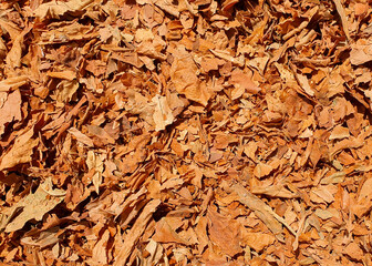A close-up of dry crushed tobacco leaves
