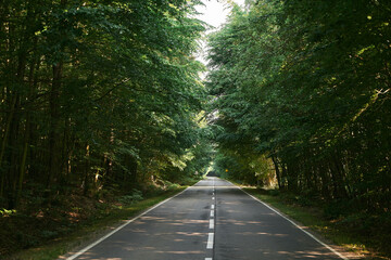 Obraz premium Forest road on a summer day. Rural asphalt road scenery. Beautiful roadway. Trees with green foliage and sunny sky.