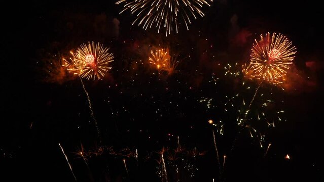 Fireworks in the sky in a 3D animation