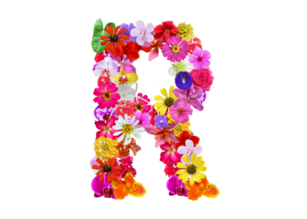 R shape made of various kinds of flowers petals isolated on transparent background, PNG