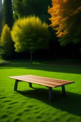 Fototapeta premium table in the park