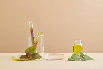 Test tubes, petri dish and a glass jar filled with essential oil and some beefsteak leaves. Liquid...