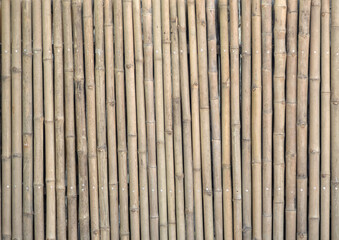 Old bamboo plank fence texture material construction for background.