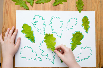Find the right size Oak leaves. Montessori methodology tool for concentration and fine motor. Sorter toy, linear icon. Thin line illustration. Contour symbol.