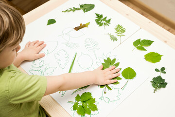 Find the right size Oak leaves. Montessori methodology tool for concentration and fine motor....