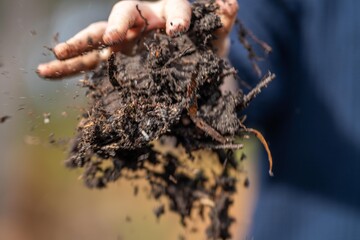 farmer holding soil in his hand on a farm in australia