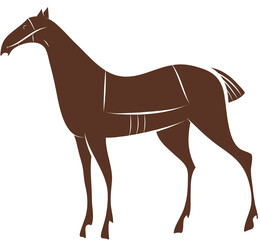 Brown and white graceful noble horse isolated
