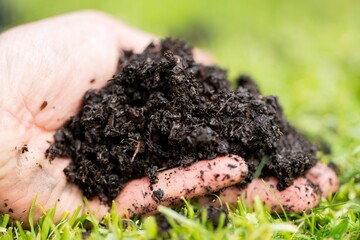 farmer holding soil in his hand on a farm in australia