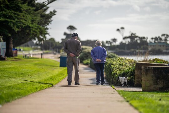 Old Couple Walking With A Little Dog On A Path In A Park By The Seaside. Elderly Couple In Love In Australia