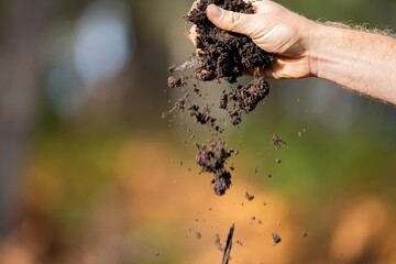 Holding soil in a hand, feeling compost in a field in Tasmania Australia.