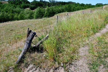 A view of a winding path leading through hills and slopes seen in the middle of a field, meadow, or pastureland, with some forests, moors, and wooden fences visible in the background in Poland