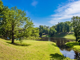 Morning in Oranienbaum park. Reflection of trees and sky in the lake.