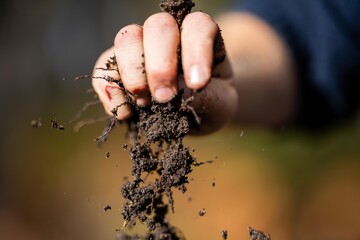 Holding soil in a hand, feeling compost in a field in Tasmania Australia.