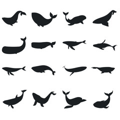 Whale icon vector set. Sperm whale illustration sign collection. Fish symbol. Ocean logo. © Denys