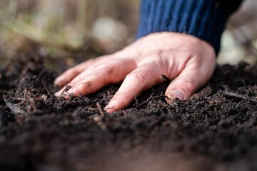 soil scientist agronomist farmer looking at soil samples and grass in a field in spring. looking at growth of plants and soil health.