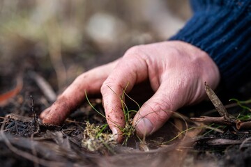 soil scientist agronomist farmer looking at soil samples and grass in a field in spring. looking at...