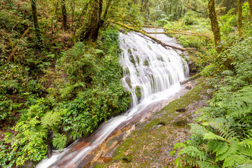 Fototapeta na wymiar Lan Sadet Waterfall In the Kew Mae Pan nature trail, Doi Inthanon National Park