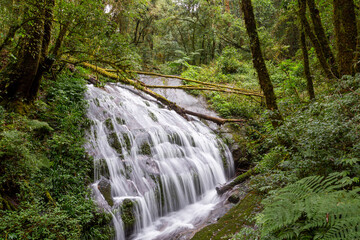 Lan Sadet Waterfall In the Kew Mae Pan nature trail, Doi Inthanon National Park