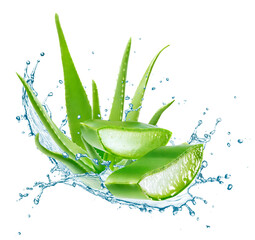 Aloe vera slices with water splash - 618414955