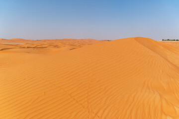 Fototapeta na wymiar Desert sands outside of Al Ain in Abu Dhabi (UAE)