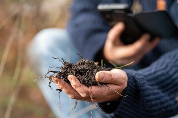 regenerative organic farmer, taking soil samples and looking at plant growth in a farm. practicing sustainable agriculture.