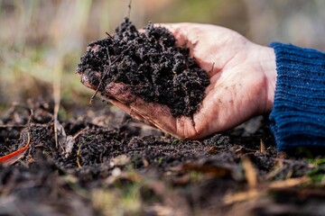 soil scientist agronomist farmer looking at soil samples and grass in a field in spring. looking at growth of plants and soil health.