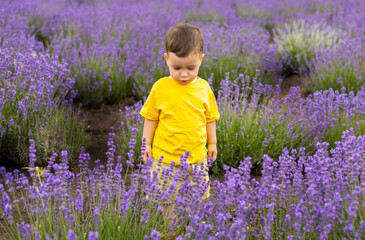 adorable baby boy child in lavender field summer time.toddler wearing cap on head,smiling making funny face expressions.kid in yellow t shirt in swing or tree log.mother woman with son