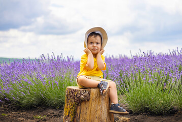 adorable baby boy child in lavender field summer time.toddler wearing cap on head,smiling making funny face expressions.kid in yellow t shirt in swing or tree log.mother woman with son