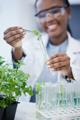 Black woman, scientist and research with plants in test tube at laboratory for analytics or...