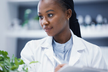 Plants, black woman or scientist writing notes for research, agro data analysis or sustainability...