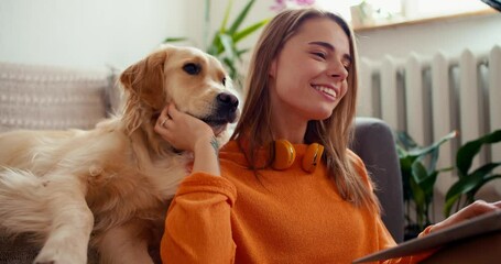 A large dog of light coloring is watching how her owner works on a laptop. Video filmed in high quality