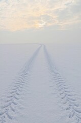Winter Landscape with a track, winter in Germany